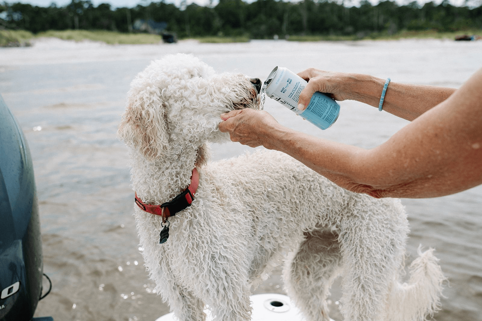 be1677f4114664667fc76200f2bcd45b05382485 (1)